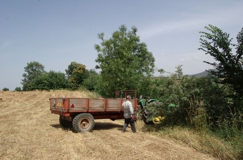 Um morto em despiste de trator agrícola em Taberna Seca